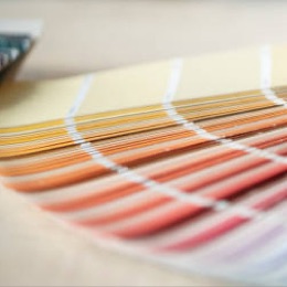 Paint swatches.